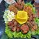 Cooksnap dari Tatik Ningtiyas untuk resep Nasi Kuning Ricecooker