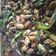 Cooksnap dari Mella Soeboeh untuk resep Kerang Cabe Ijo