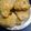 skunkmonkey101's cooksnap of when they made Savory Ginger Garlic biscuits.