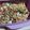 Cooksnap dari Ariesta Agus untuk resep Mie Gacoan Pedas Manis