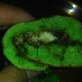Cooksnap dari Linsay Roch untuk resep Martabak Manis Teflon