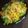 Vaishali Arora's cooksnap of when they made Chiwda upma/ chuda upma/ chiwda poha.
