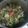 El cooksnap de Enyol Parra cuando hizo Carne salteada con Verduras.
