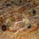 صورة من طبخة من بيتي🏡 💜، شاركها بعد تجربة وصفة 🍕 بيتزا 🍕