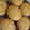 El cooksnap de Vanee cuando hizo Cupcakes de yogurt con arándanos.