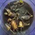 Cooksnap dari Ira Maula untuk resep Cumi hitam bumbu ulek