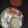 Mathur Rutvi's cooksnap of when they made Idli sambar.
