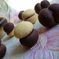 کوک اسنپ Ashpazye_parchin بعد از امتحان کردن بیسکوییت لانکشیر یا لانکشایر(شیرینی عید).