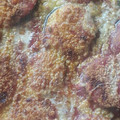 El cooksnap de Barbara92 cuando hizo Lasaña de calabacín a la plancha con cheddar.
