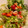 El cooksnap de Débora Cantero Martínez cuando hizo Ensalada agridulce de tomate “adora” y frutos rojos con skyrella y atún.