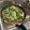 El cooksnap de Hector Carter cuando hizo Tortilla de acelga.