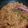 Cooksnap nurinfarishaa semasa beliau membuat Kuetiau Goreng Basah Simple.