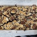 Cooksnap dari dapur_iNdy untuk resep Fudgy Shiny Crust Brownie (Brownies Panggang)