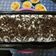 Cooksnap dari Meirina untuk resep Brownis kukus coklat