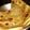 Puja Adhikary (Mistu)'s cooksnap of when they made কড়াইশুঁটির পরোটা (koraisutir porota recipe in bengali).