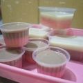Cooksnap dari Renny Meiana untuk resep Tropical fruit silky puding