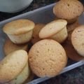 El cooksnap de Sabrina Quinteros cuando hizo Mini budines de yogur & arándanos.