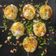 Sonal Modi's cooksnap of when they made દહીં પૂરી (Dahi Puri Recipe In Gujarati).