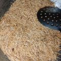 srishti mittal का कुकस्नैप जब उन्होंने नमकीन सेवई (NAMKEEN SEWAI RECIPE IN HINDI) बनाया था।