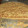 El cooksnap de Stella Maris Monina cuando hizo Tarta integral de coco y dulce de leche.