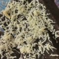 Cooksnap dari sherly untuk resep Brownies kukus chocolatos