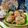 Cooksnap dari Dee's untuk resep Bucang