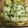 El cooksnap de Cristal Gómez Montilla cuando hizo Ventresca de merluza con salsa verde y verduras asadas.