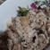 Cooksnap dari catharina chandra untuk resep Beef Original ala Yoshinoya