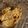 CristinaK's cooksnap of when they made Joshua's Scalloped Potatoes.