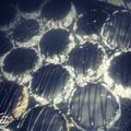 صورة من Khakho_momo 💎، شاركها بعد تجربة وصفة لي روس
