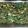 416sandra's cooksnap of when they made Green Bean Salad.