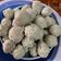 Cooksnap dari Nur Buana Pangastuti untuk resep Bakso Sapi Enak dan Kenyal (dan Kuah ala Abang Bakso)