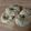 Cooksnap από Ραφαέλα Τόκα στη συνταγή Πρωτεϊνικά Bagels ολικής