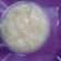 Cooksnap dari Amy Dinda untuk resep Pudot(puding sedot) mangga susu
