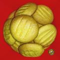 Rumana Irfan's cooksnap of when they made Eggless Custard Cookies.