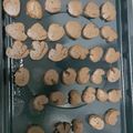 Ting Chien 的 【差不多食譜】手工巧克力餅乾 Chocolate Cookies cooksnap