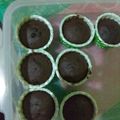 Cooksnap dari ayu Pusfitarini untuk resep Brownie Cupcake Kukus