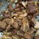 Cooksnap dari Tika Mutiarani untuk resep Daging sapi bistik simple