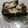 Cooksnap de Stéphanie sur la recette Brownie aux noix de pécan