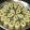 Samita Sar's cooksnap of when they made গুঁড়ো দুধের গুজিয়া সন্দেশ (guro doodher gujiya sondesh recipe in Bengali).