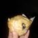El cooksnap de Neyen Martinez cuando hizo Muffins integrales con avena y frutas.
