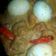 Cooksnap dari Rully Indah untuk resep Sambal goreng krecek pedas