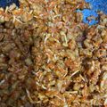 Cooksnap dari Masak karena mendesak untuk resep Ikan Teri Medan dan Tempe Balado