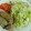El cooksnap de MaryGlory cuando hizo Caballas a la plancha, a los aromas de laurel.
