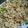 Saima Sameer Ali's cooksnap of when they made Chana pulao.