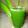 Cooksnap dari Gazbiyya untuk resep Juss daun pandan #bandung_recookindahtriwiartuti