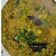 Neel का कुकस्नैप जब उन्होंने मटर के चावल (matar ka chawal recipe in HIndi) बनाया था।