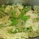 El cooksnap de Carmeta cuando hizo Puré de guisantes con hierbabuena y parmesano.