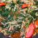 Cooksnap dari DW (Dapoer Wija) untuk resep Tumis Kangkung Taoge - Terasi