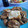 El cooksnap de Rafi's Cooking cuando hizo Solomillo en salsa de cerveza negra con puré trufado.